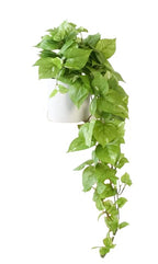 Mid-Century Green Artificial Plant — 32"
