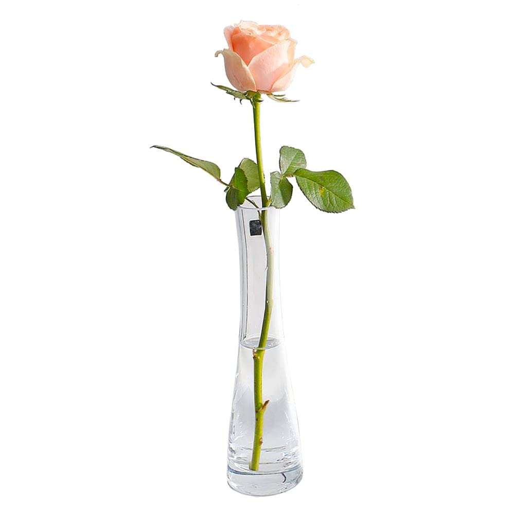 Glass Vase