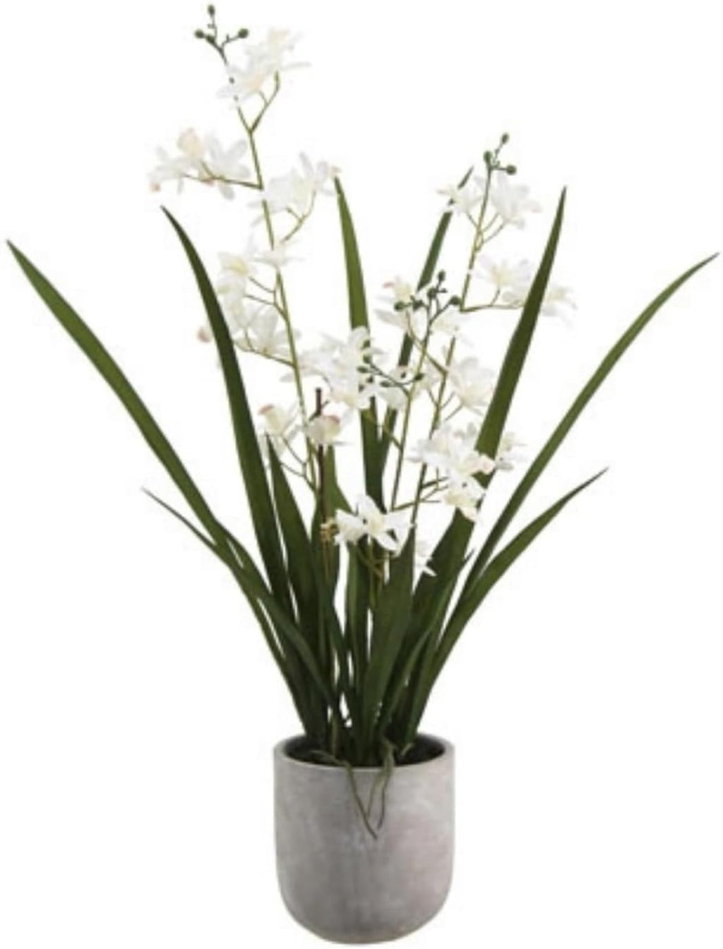 Artificial Plant — 20.5" — 22.5" Vanda Orchid