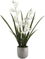 Artificial Plant — 20.5" — 22.5" Vanda Orchid