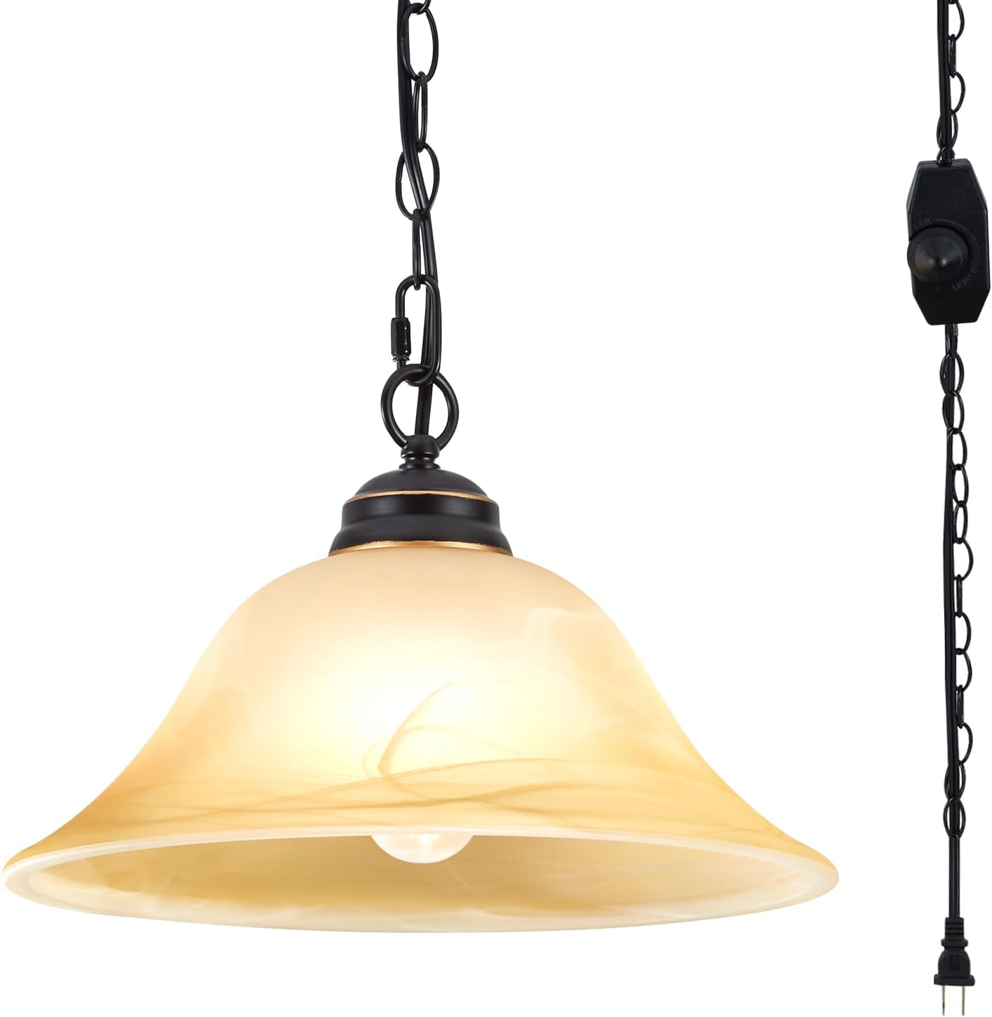 Dimmable Farmhouse Black Pendant Light — Black & Gold