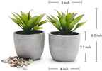 Farmhouse Faux Plant — Set of 2 - View 2