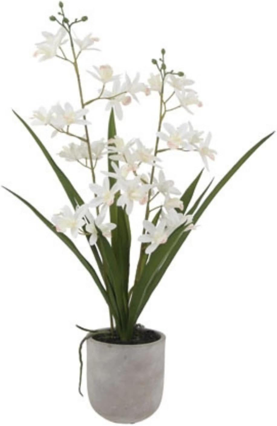 Artificial Plant — 20.5" — 20.5" Vanda Orchid