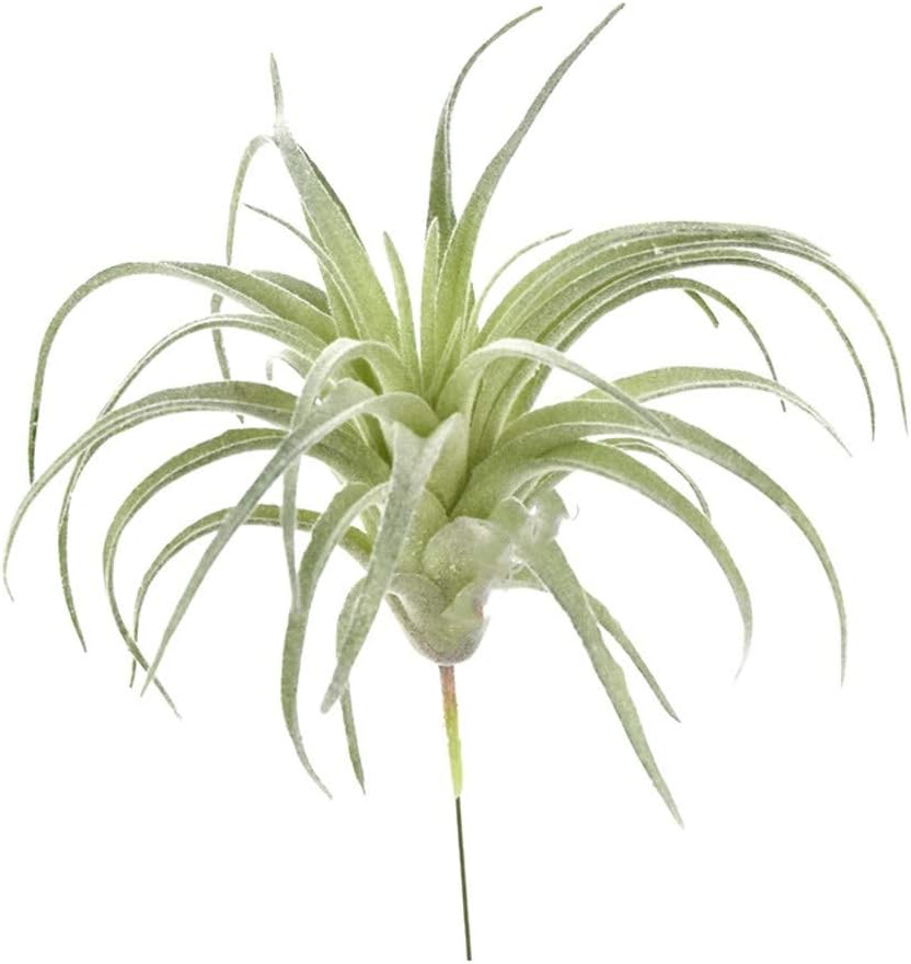 Faux Plant - View 3
