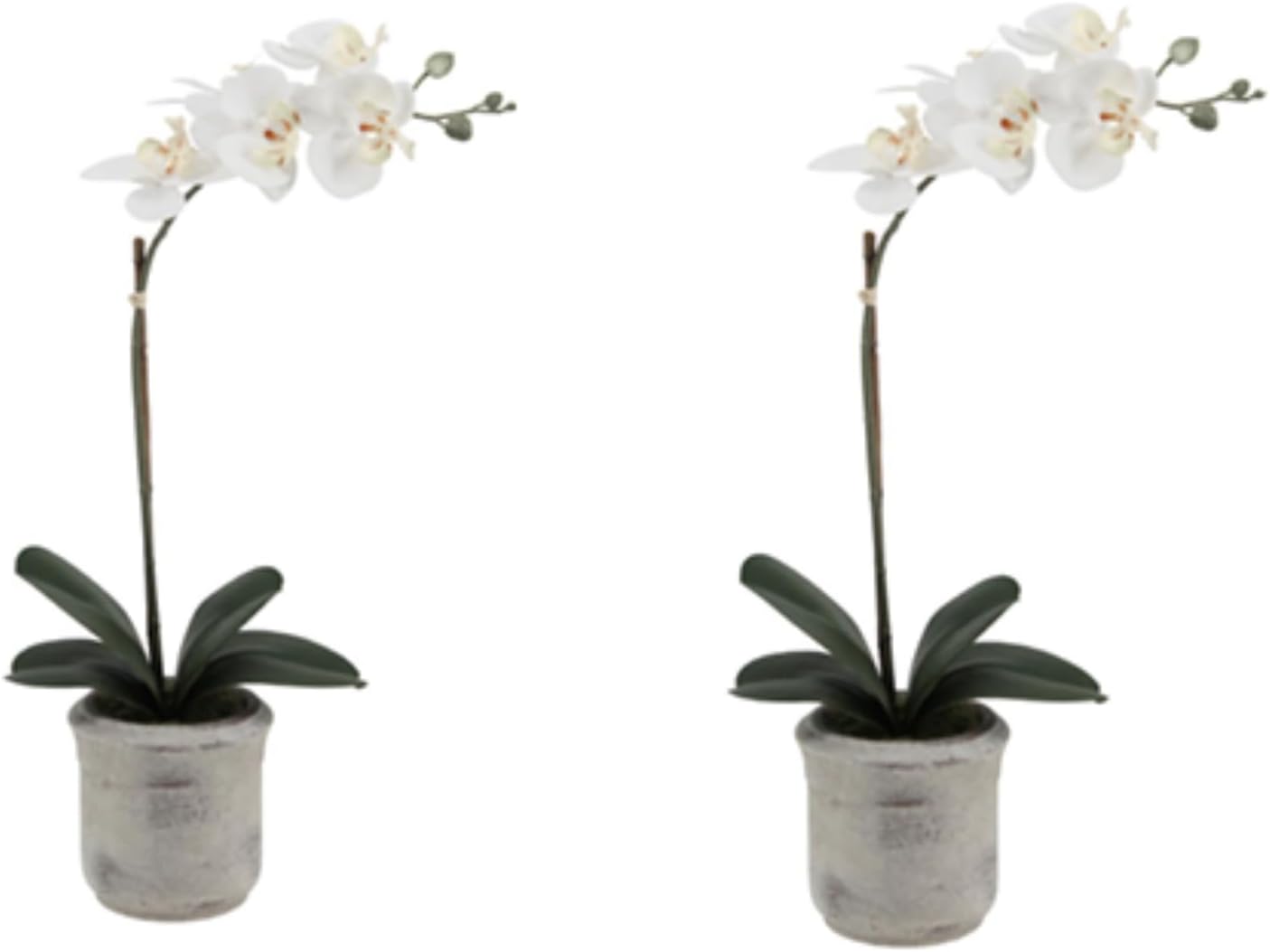 Artificial Plant — 20.5" — 22" White Phale Orchid (Set-of-2)