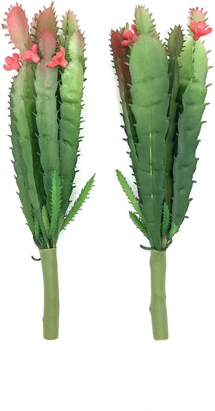 Faux Plant — Mini Cactus
