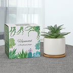 Wood Artificial Plant — 9" - View 3