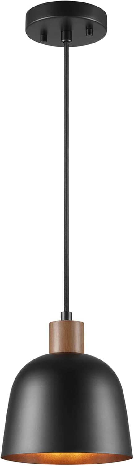 Black Pendant Light — 1-Light — Matte Black