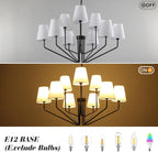 Farmhouse Black Chandelier - View 7
