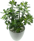 Artificial Plant - View 7