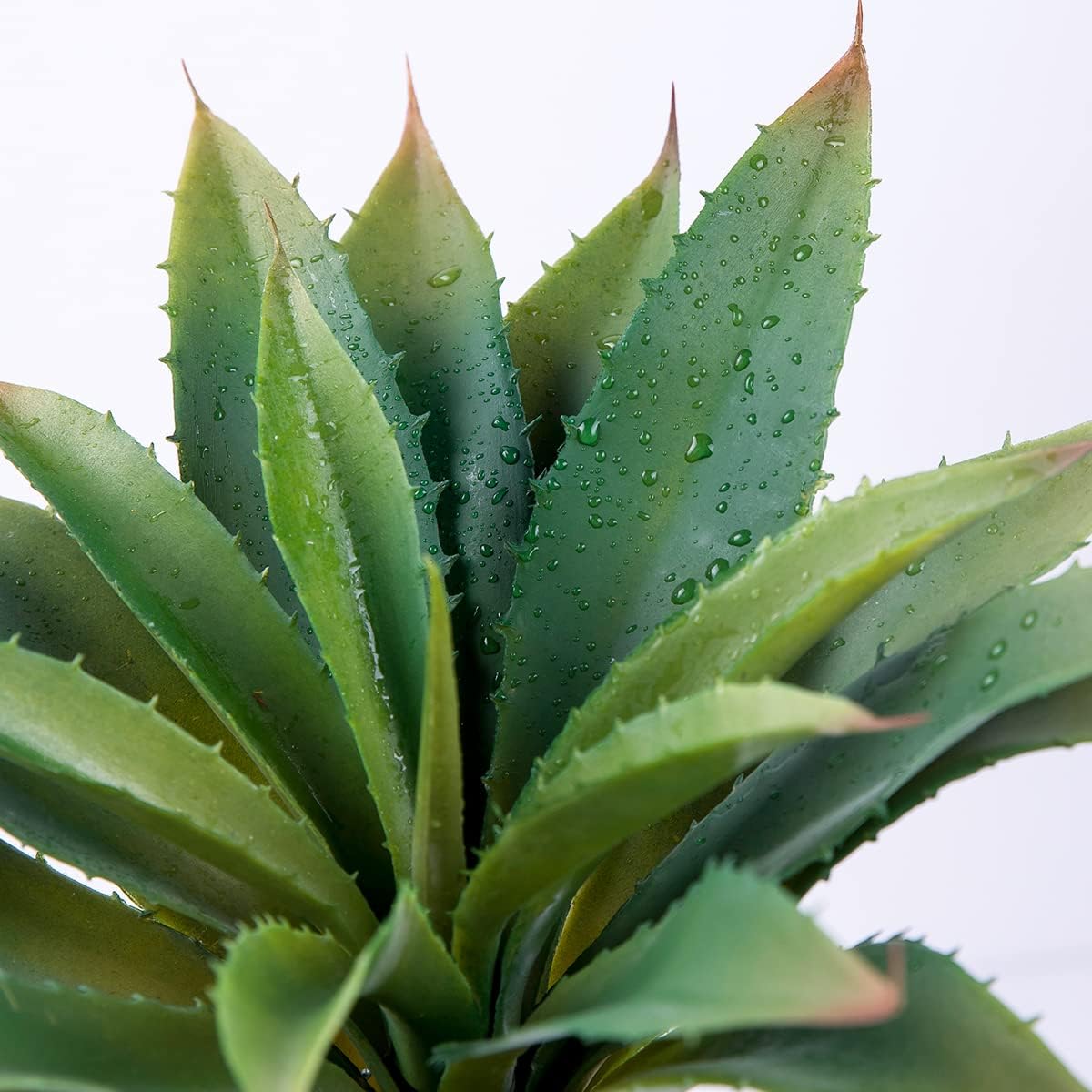 Green Faux Succulent — 5" - View 5