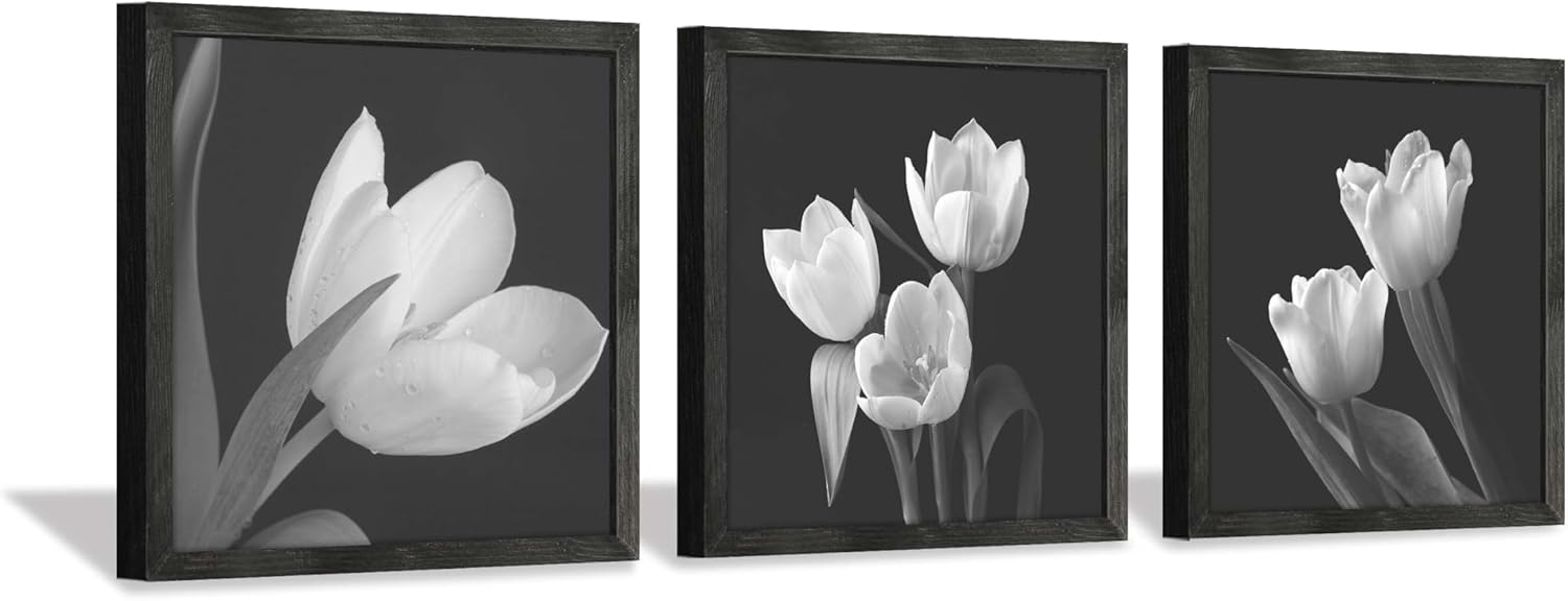 Black Wall Art — 16" — Black and white picture