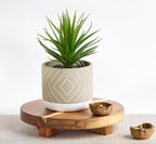 Farmhouse Faux Plant — 8" - View 3