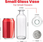 Glass Flower Vase — Set of 12 - View 4