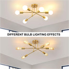 Luxe Black Chandelier — 6-Light - View 6