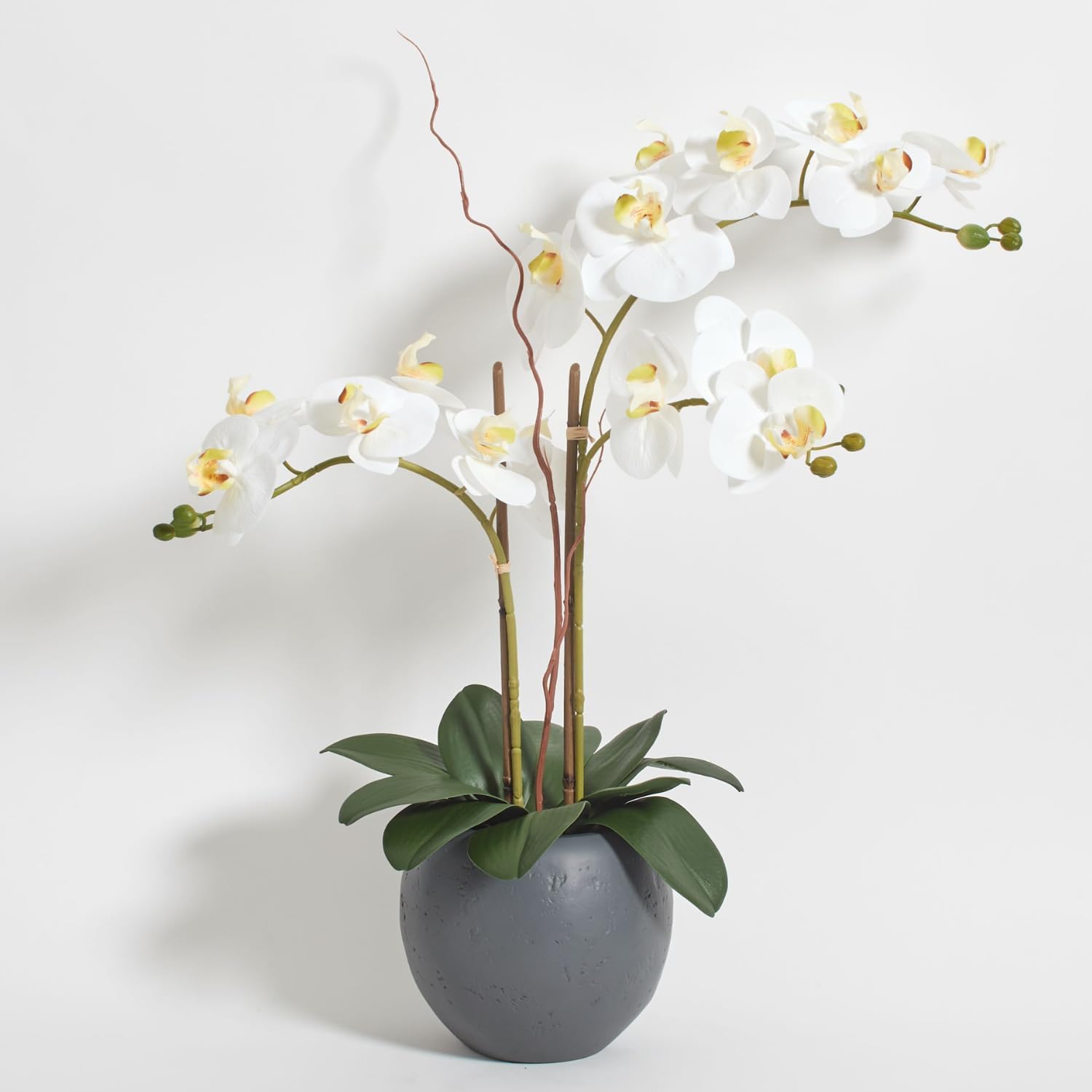 Artificial Plant — 20.5" — 25" White Double Stem