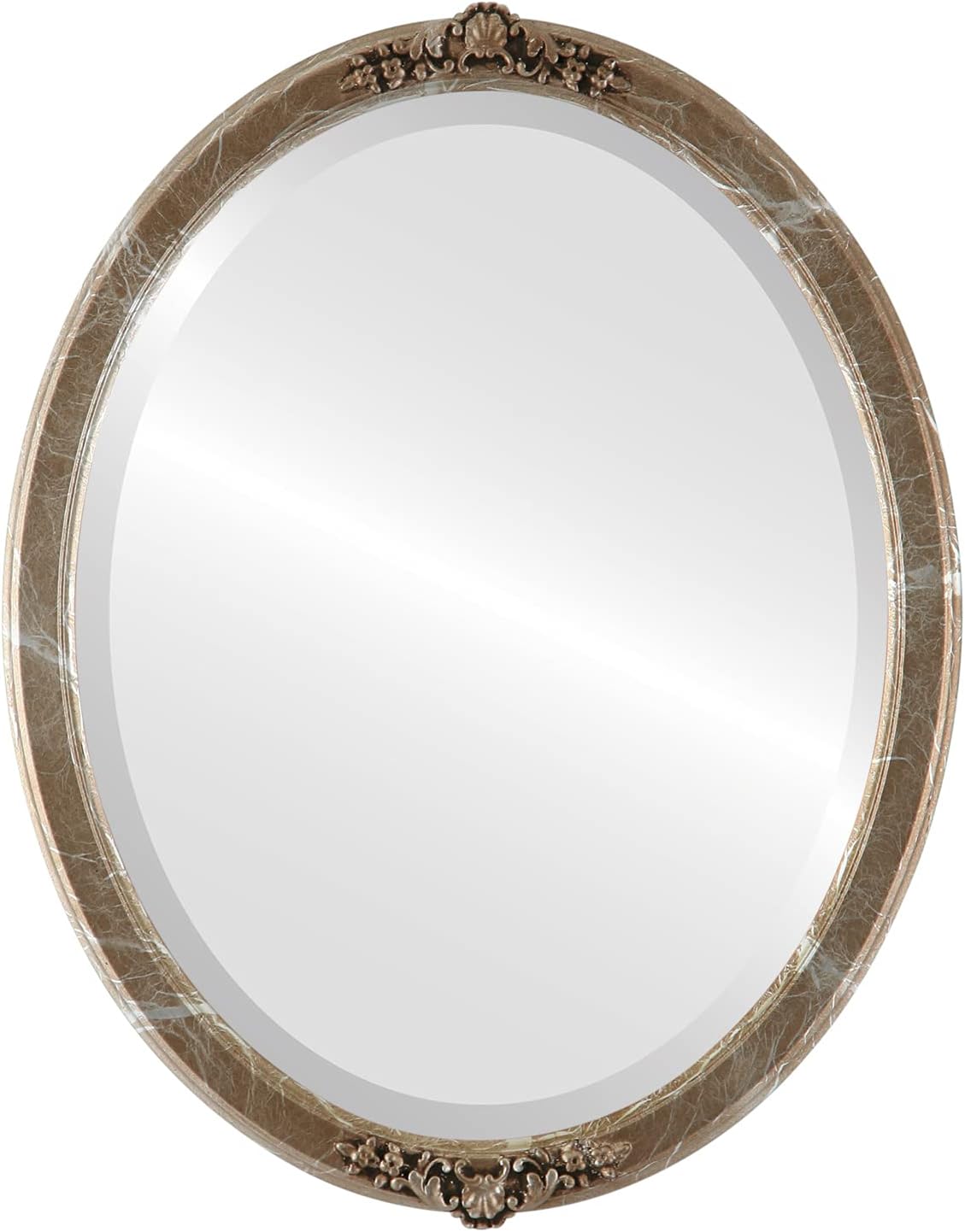 Beveled Luxe Beige Wall Mirror — 26" — Champagne Silver