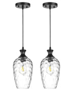 Farmhouse Black Pendant Light — 1-Light