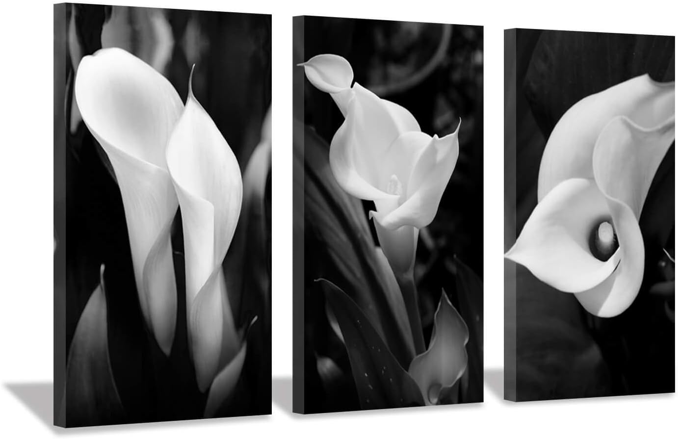 Black Wall Art — 16" — Calla Lily