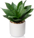 Modern Artificial Plant — Style 1-medium