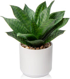 Modern Artificial Plant — Style 1-medium