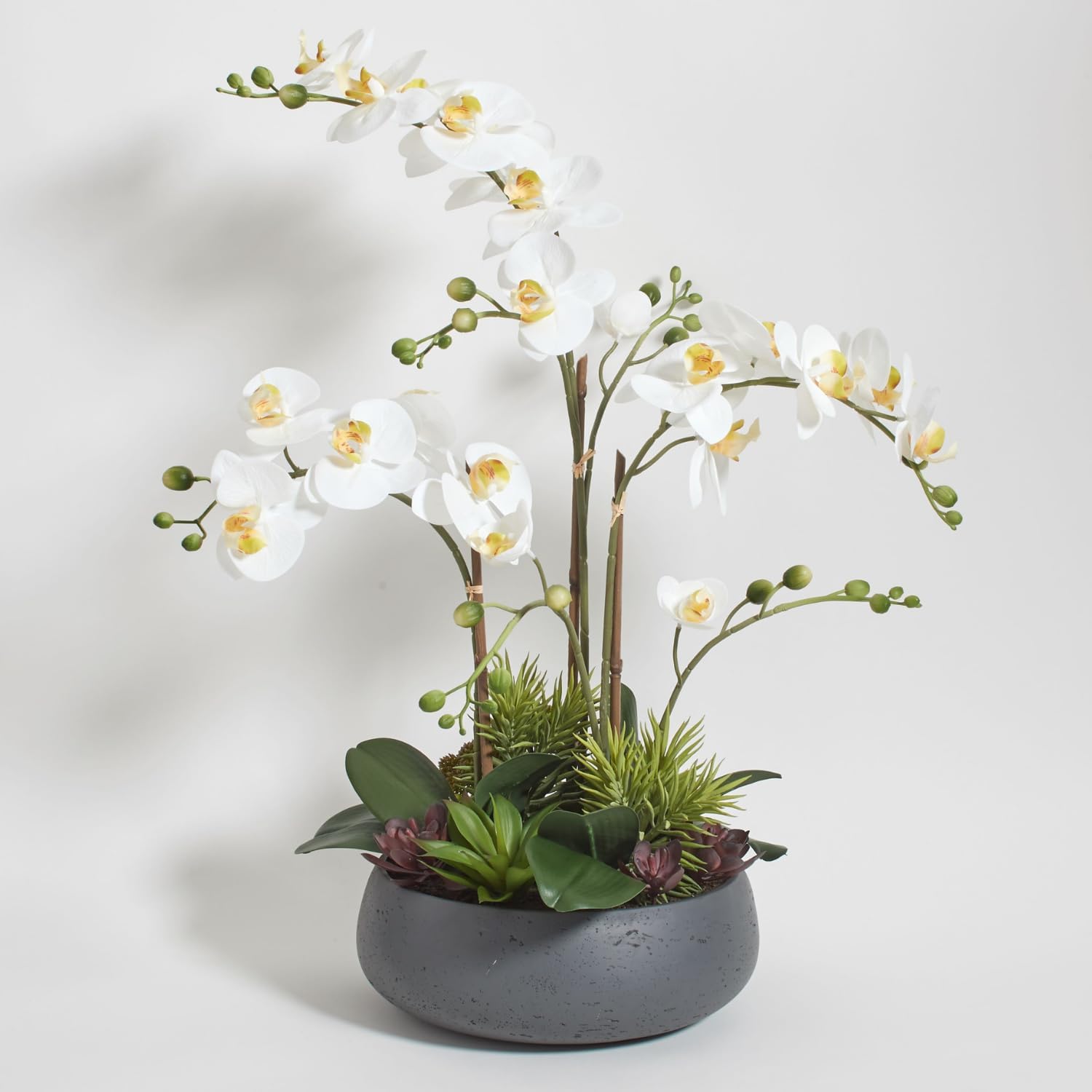 Artificial Plant — 20.5" — 24" White Orchid With Succulents