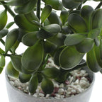 Artificial Plant - View 6