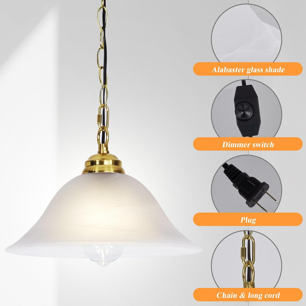 Dimmable Farmhouse Black Pendant Light - View 4