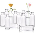 Glass Flower Vase — Set of 12