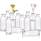 Glass Flower Vase — Set of 12