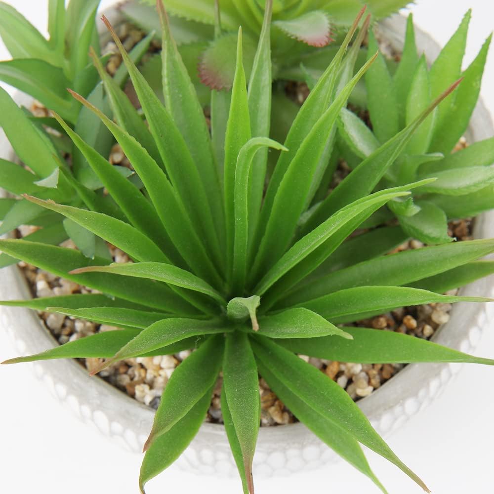 Black Faux Succulent - View 5