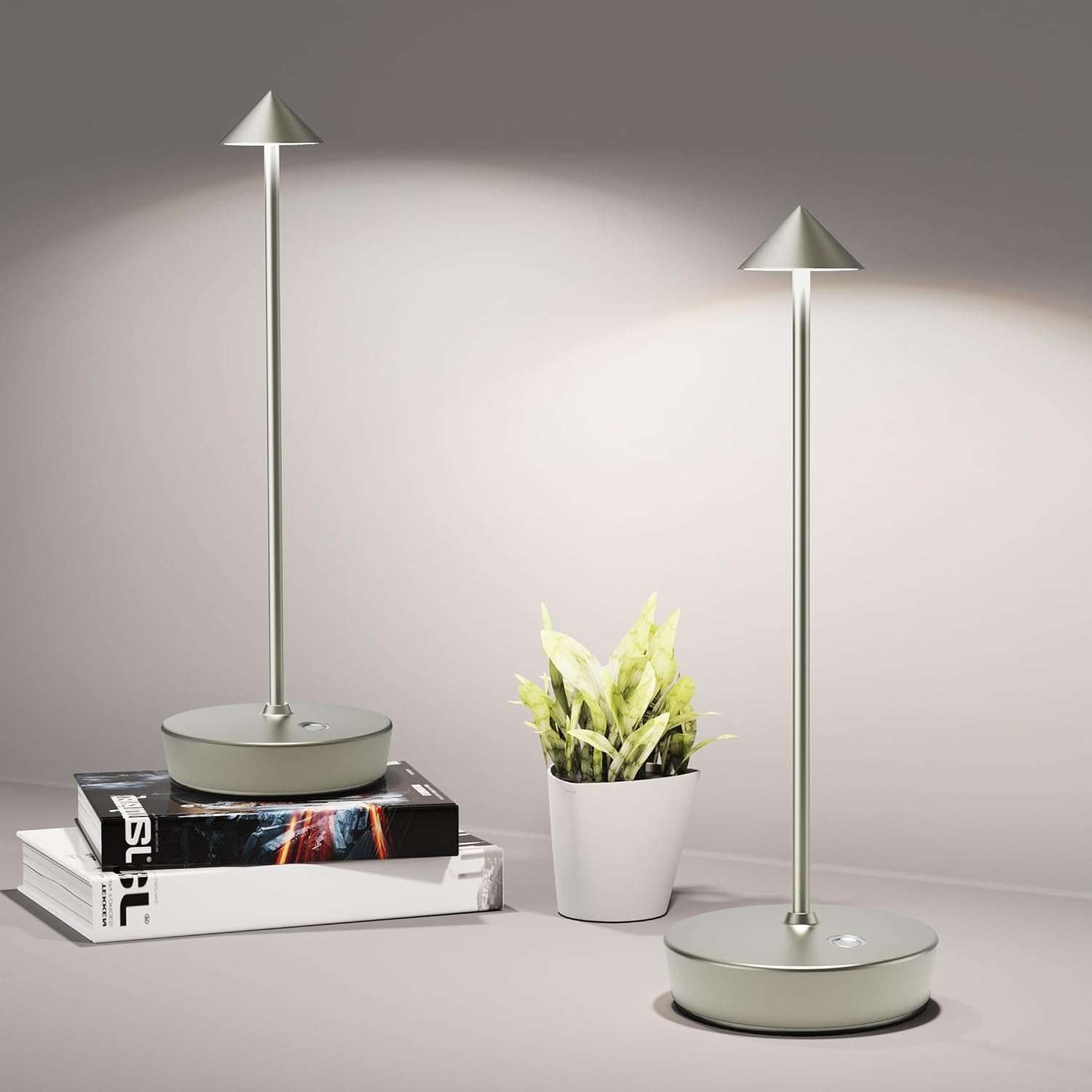 Cordless Luxe Black Desk Lamp — 2Pack Silver