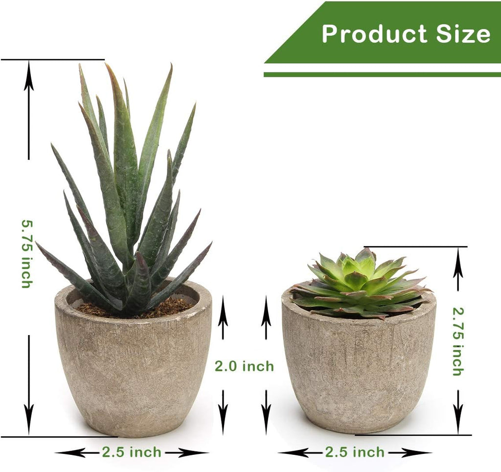 Green Faux Succulent — Set of 5 - View 2