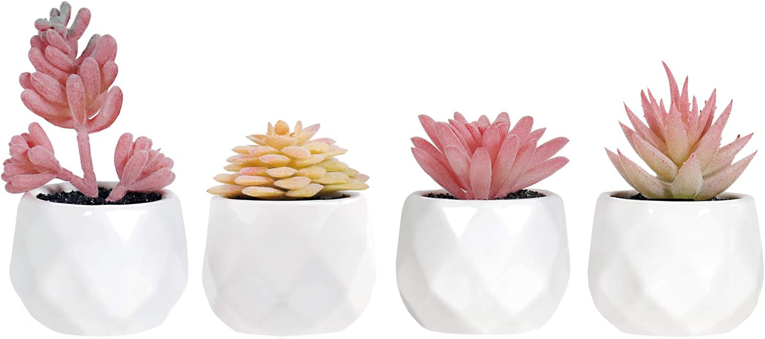 Gold Faux Succulent — Pink