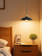 Farmhouse Metal Pendant Light - View 3