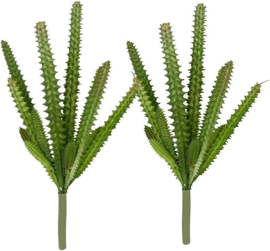 Faux Plant — Cacti