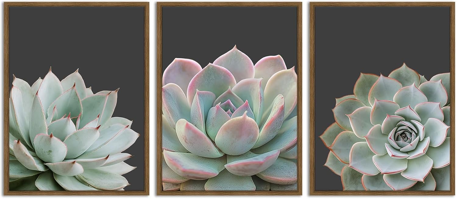 Framed Modern Black Wall Art — 12" — Succulent