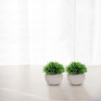 Artificial Plant - View 4