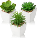 Modern Black Faux Succulent — 3pack - White Ceramic 1