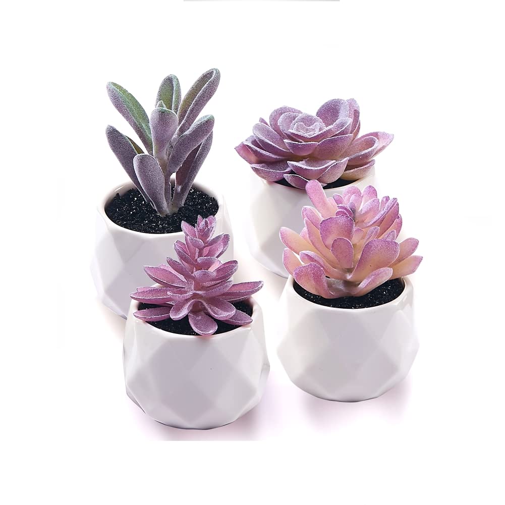 Ceramic Faux Succulent