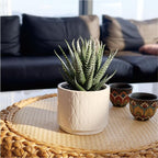 Beige Faux Plant — 6.7" - View 6