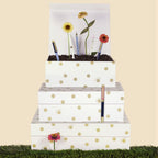 Luxe Gold Storage Bin - View 8