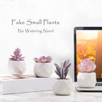 Ceramic Faux Succulent - View 4