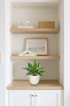 Modern Black Artificial Plant — 9" - View 5