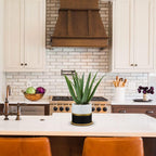 Farmhouse Black Artificial Plant - View 5