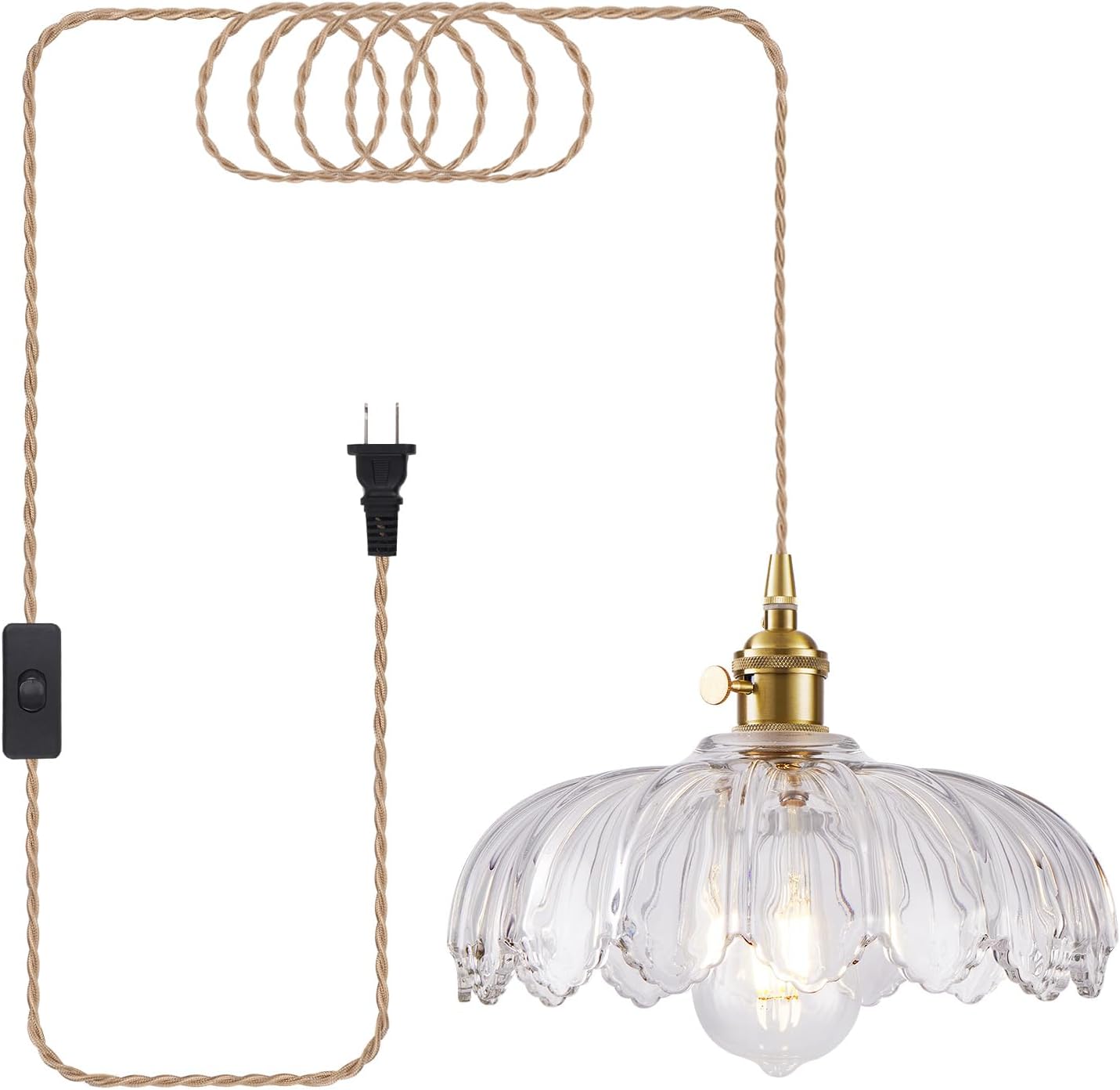 Brown Pendant Light — Clear