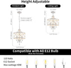 Round Farmhouse Gold Chandelier — 3-Light - View 5