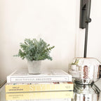 Farmhouse Artificial Plant — Set of 3 - View 4