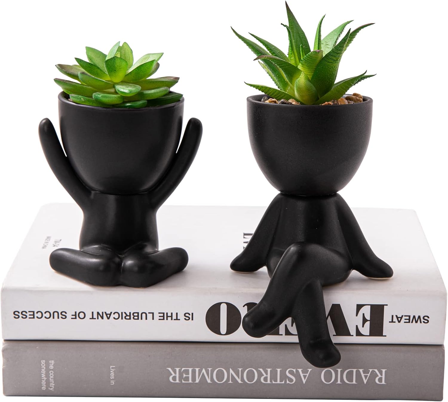 Black Faux Plant — A, Morden Black Fugurine( 1 Pair )