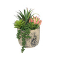 Ceramic Faux Succulent